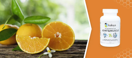 Meet the 7x Ingredients